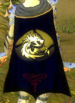 Guild Dragons Of Mana cape.jpg