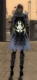 Guild Fearless Dutch Dark Forces cape.jpg