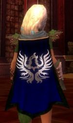 Guild Childrens Of Raven cape.jpg