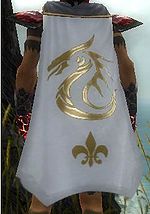 Guild Silver Blizzard cape.jpg