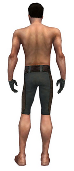 Mesmer Enchanter armor m gray back arms legs.png