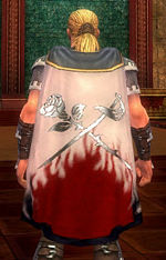 Guild Black Rose Rangers cape.jpg