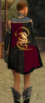 Guild Multum In Parvo cape.jpg