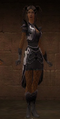 User Joan Granite Citadel Elite Armor.png