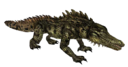 Crocodile2.png