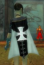 Guild Evil Panda Raiders cape.jpg