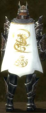 Guild Legendary Maniacs cape.jpg