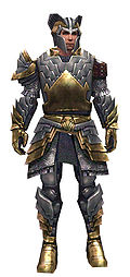 Warrior Templar armor m.jpg