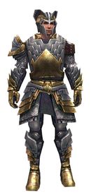 Warrior Templar armor m.jpg