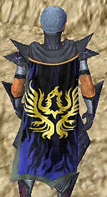 Guild Ashen Phoenixes cape.jpg