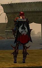 Guild Union Of Devoted Souls cape.jpg