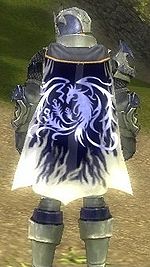 Guild Guild Of A Thousand Gods cape.jpg