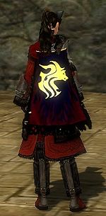 Guild Ordained Wolves Of The Light cape.jpg