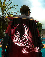 Guild The Crimson Skull Lords cape.jpg