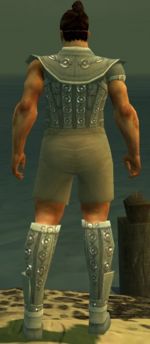 Warrior Ascalon armor m gray back chest feet.jpg