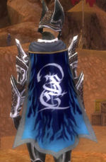 Guild Ministrare Gaming cape.jpg