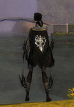 Guild Curse Of The Pharaohs cape.jpg