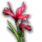 Red Iris Flower.png