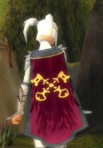 Guild Die Freimaurer cape.jpg