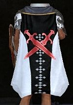 Guild Star Trek Storm Troopers cape.jpg