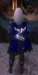 Guild Christian Disciples cape.jpg