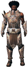 Koss Elite Sunspear armor.jpg