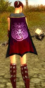 Guild House Of Tears cape.jpg