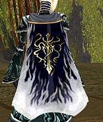 Guild Order Of The Golden Spear cape2.jpg