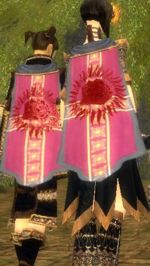 Guild The Royal Rose cape.jpg