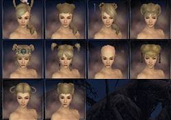 Monk factions hair style f.jpg