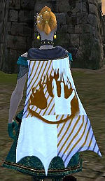 Guild Clan Eternal Legion cape.jpg