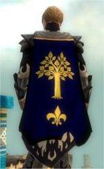 Guild Scousers Guild cape.jpg