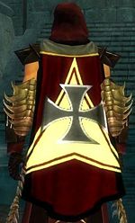 Guild Rise Of The Forgotten UAO Guild cape.JPG