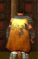 Guild The Sons Of Skyrim cape.jpg