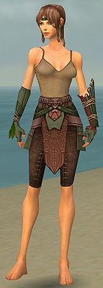 Ranger Druid armor f gray front arms legs.jpg