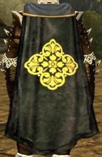 Guild Ladies Rhythm and Movement Cape.jpg