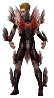 Necromancer Primeval armor m.jpg