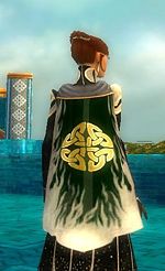 Guild Clann Feasa cape.jpg