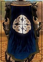 Guild The Hybrid Elites cape.jpg