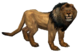 Lion2.png