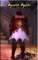 Guild Scarlet Saints cape.jpg