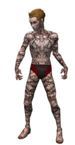 Necromancer Elite Scar Pattern armor m.jpg