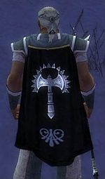 Guild Silverwind Crusaders cape.jpg