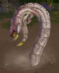 Drake Hatchling (white).jpg