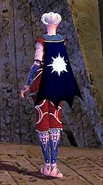 Guild Kyriak Temple cape.jpg