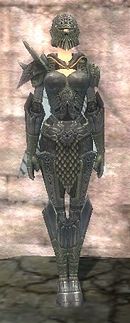 Elite Platemail Armor 1