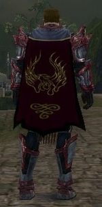 Guild The Dark Hunters Of The Night cape.jpg