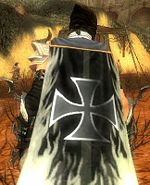 Guild The League Of Deadly Assassins cape.jpg