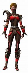 Ranger Asuran armor f.jpg