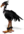 Black Moa.png